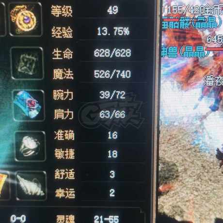 传奇3(时长版)-账号-[道士 49级]没啥时间玩了号里差不多二十组万年