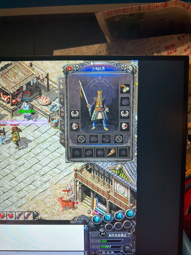 热血传奇1.76秒卡传承版-账号-[法师 44级]44法师血印祖马套