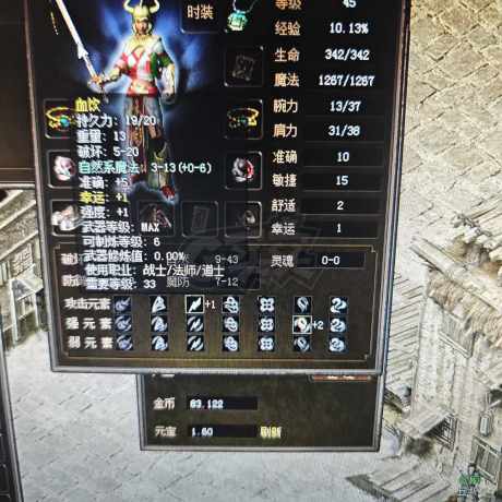 传奇3(时长版)-账号-[魔法师 45级]45级10.13女法师