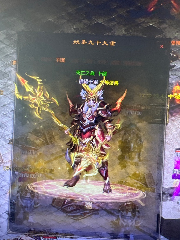传奇世界-账号-[妖士 妖圣99重]全区第一，*****