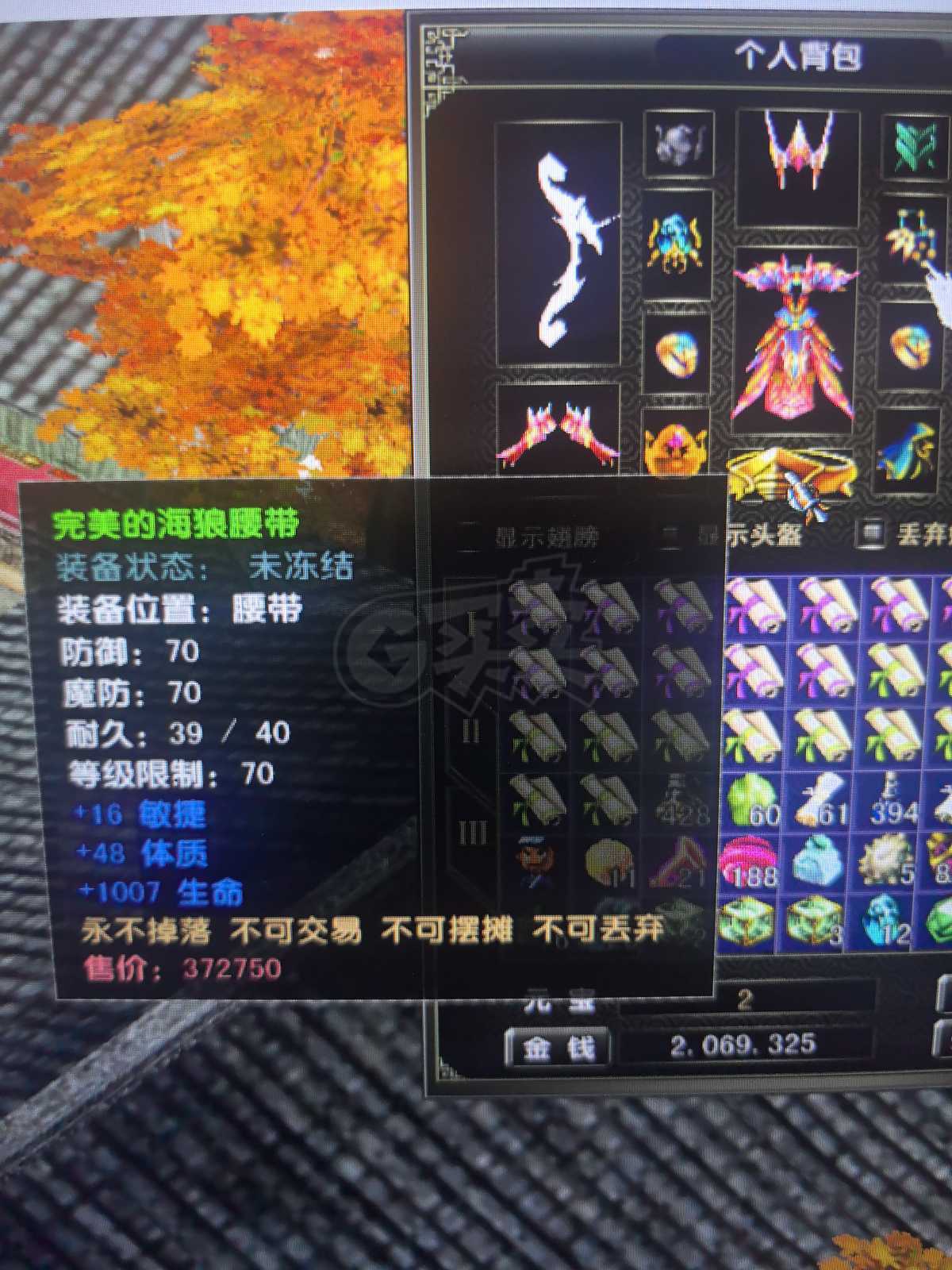 风云怀旧服-账号-[猎手 融合期*5阶]YT86.5级猎手