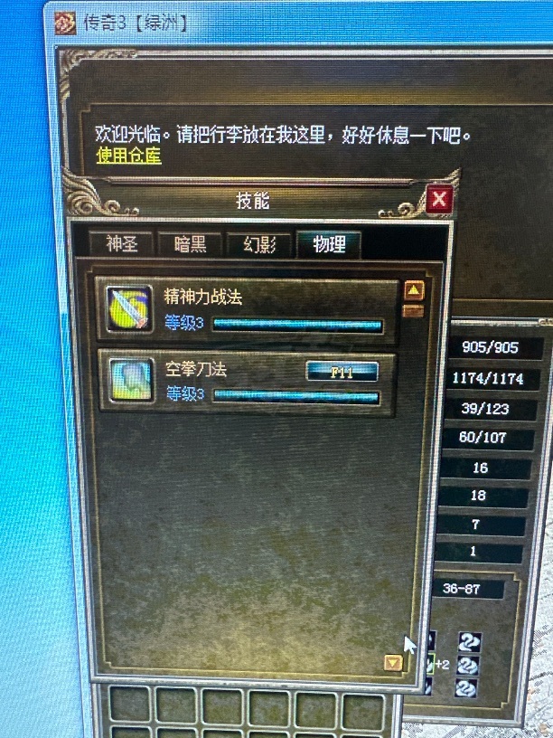 传奇3(时长版)-账号-[道士 63级]绿洲区 男道士63级 有黑马 技能全满级