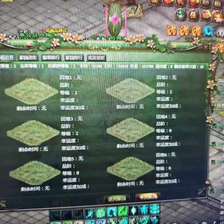 星辰变-账号-[清虚 100级]19暴怒，单人家园