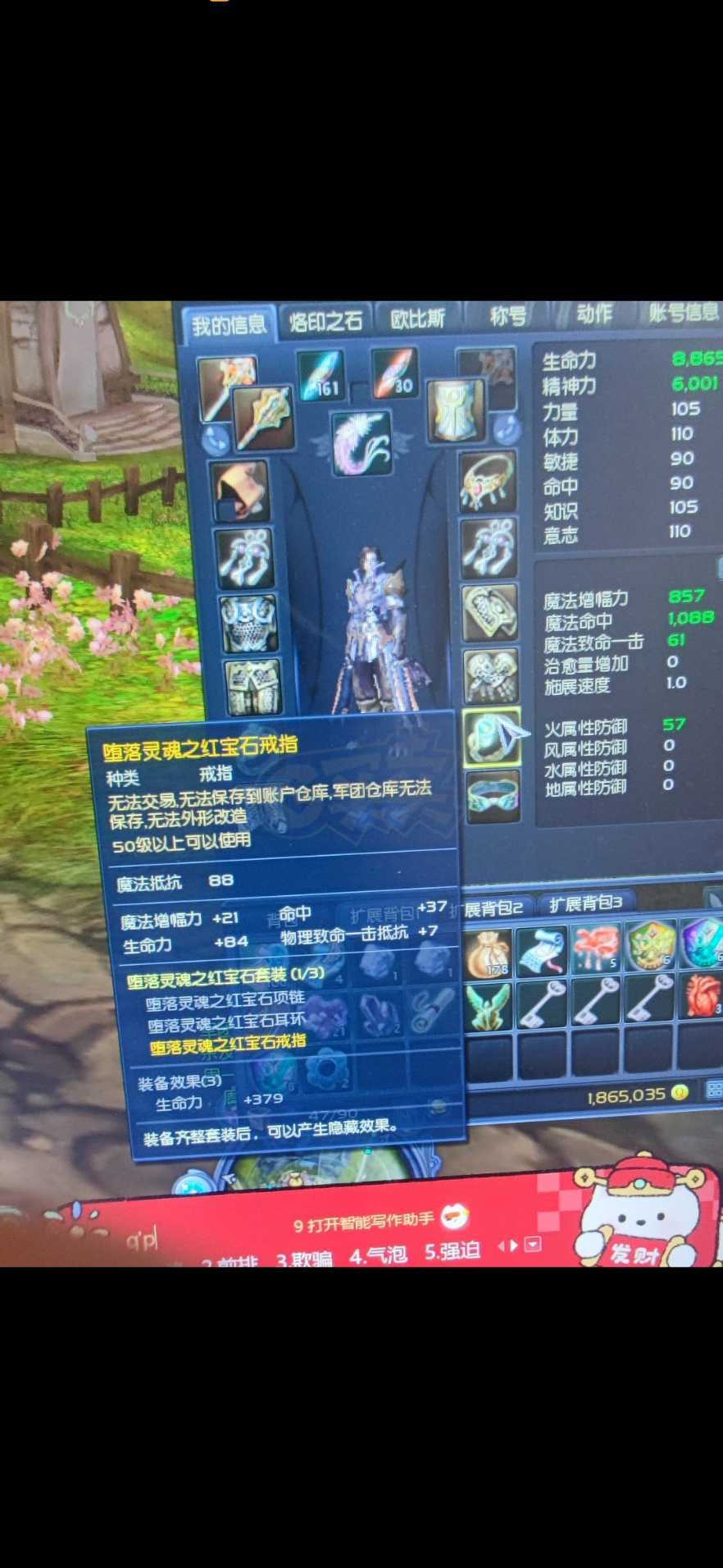 永恒之塔-账号-[治愈星 50级]*和魔道都五十级了