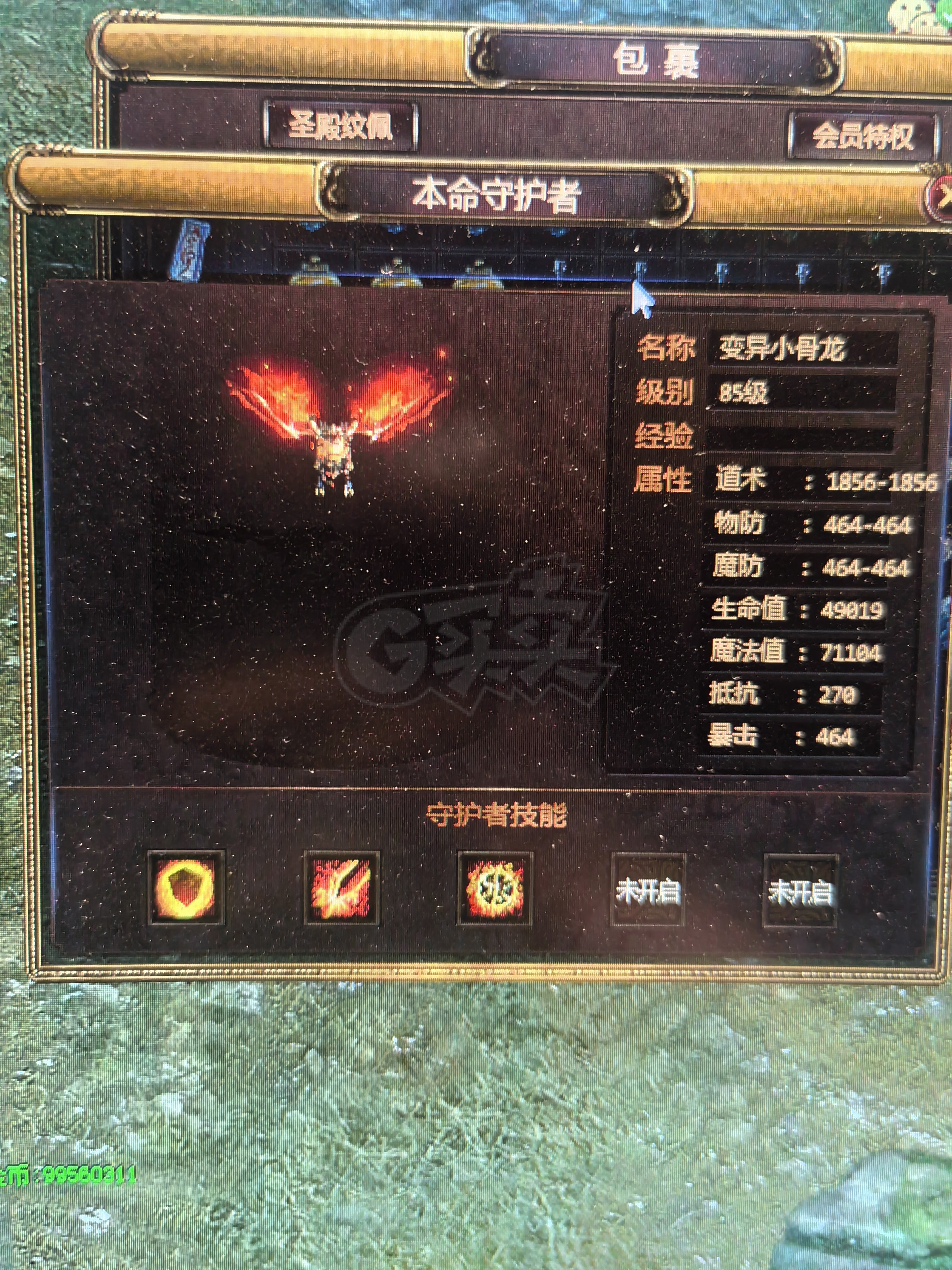 夺宝传世-账号-[道士 71级]463真火 如冰 御海顶级全套 单挑所有号