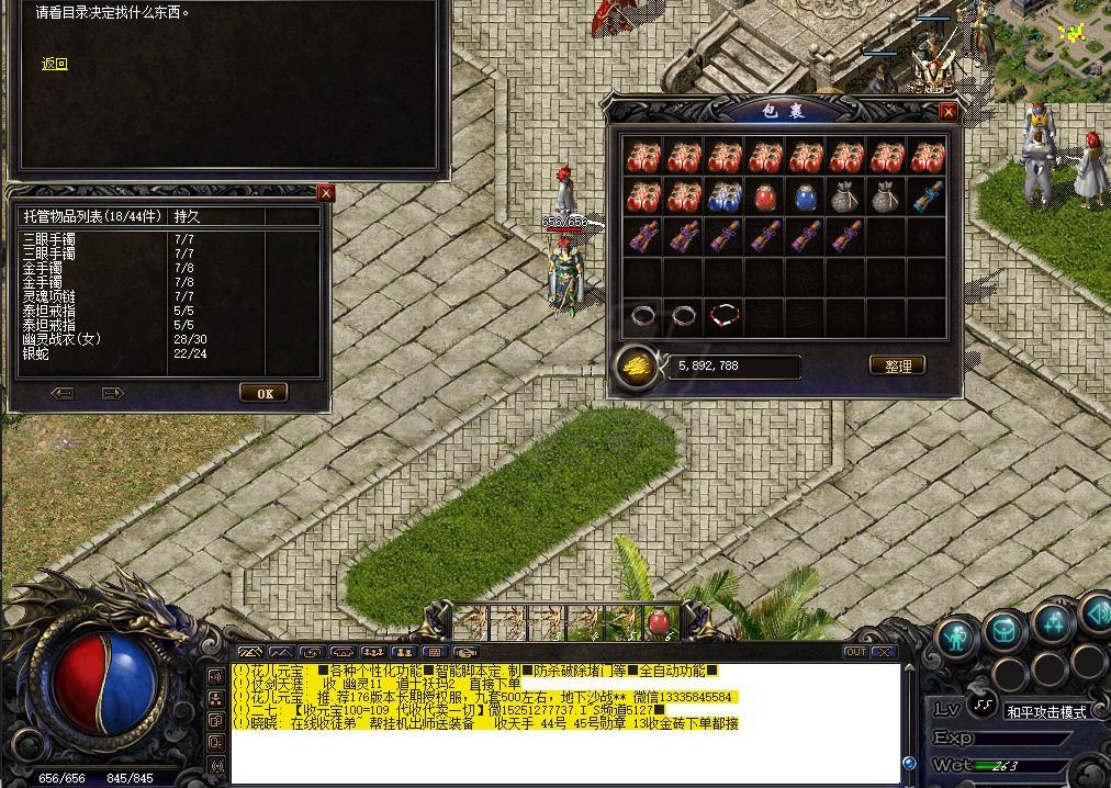 热血传奇1.76秒卡传承版-账号-[道士 55级]*天尊套*天师袍*无极棍*45号勋章*敏10套*小极品等