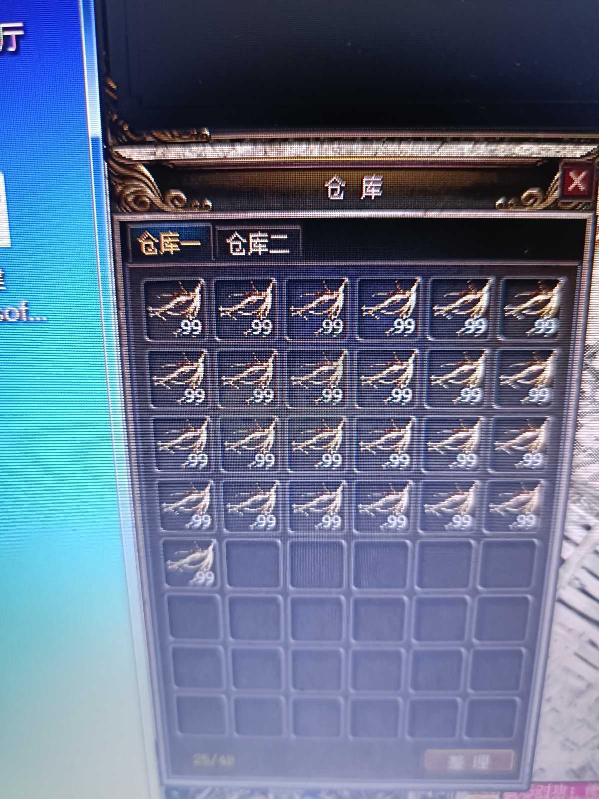 传奇3(时长版)-账号-[魔法师 46级]4个46级号