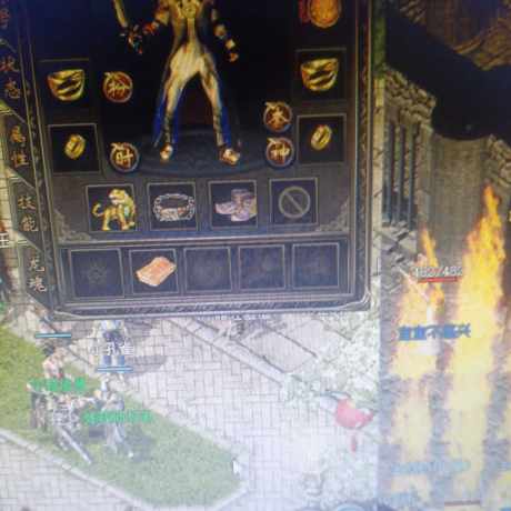 传奇归来-账号-[男 道士 46级]46，马上47狗道，除了嗜血都练3级