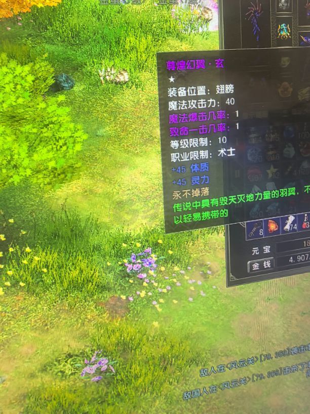 风云怀旧服-账号-[术士 融合期*5阶]85.6凌风法师天怒黑洞70披风差一个低语二，仓库100多个绑定暗夜精华
