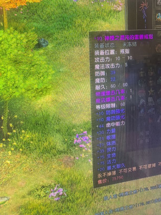 风云怀旧服-账号-[术士 融合期*5阶]85.6凌风法师天怒黑洞70披风差一个低语二，仓库100多个绑定暗夜精华