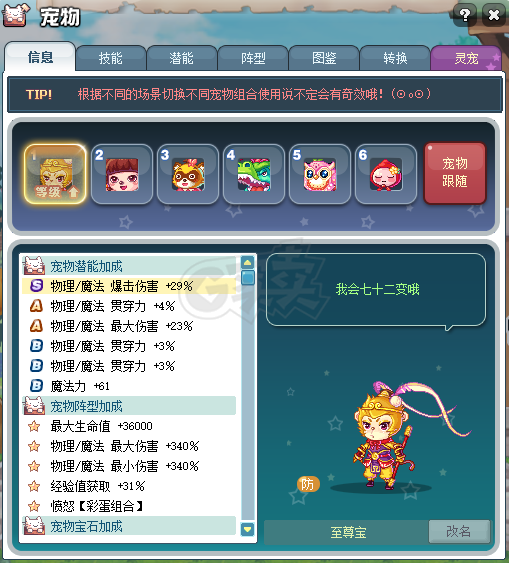 彩虹岛-账号-[巨星 300级]8连体95s魔法号带转移终末3怠惰守护称号8个上位套队长披风