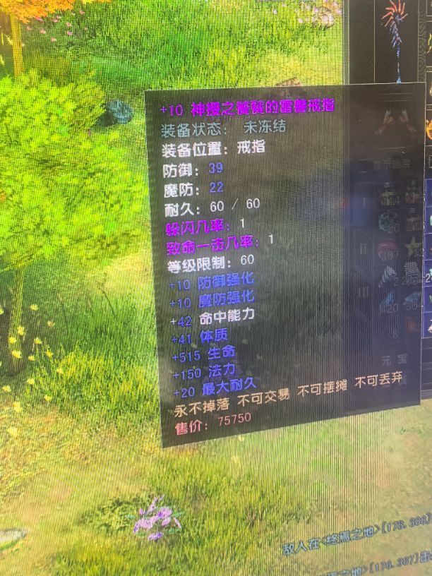 风云怀旧服-账号-[术士 融合期*5阶]85.6凌风法师天怒黑洞70披风差一个低语二，仓库100多个绑定暗夜精华