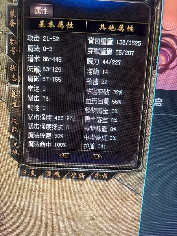 传奇归来-账号-[男 道士 95级]大狗道士