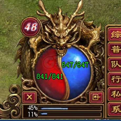 传奇世界-账号-[道士 48级] 45点经验 巨量大神水 灵兽多 技能*