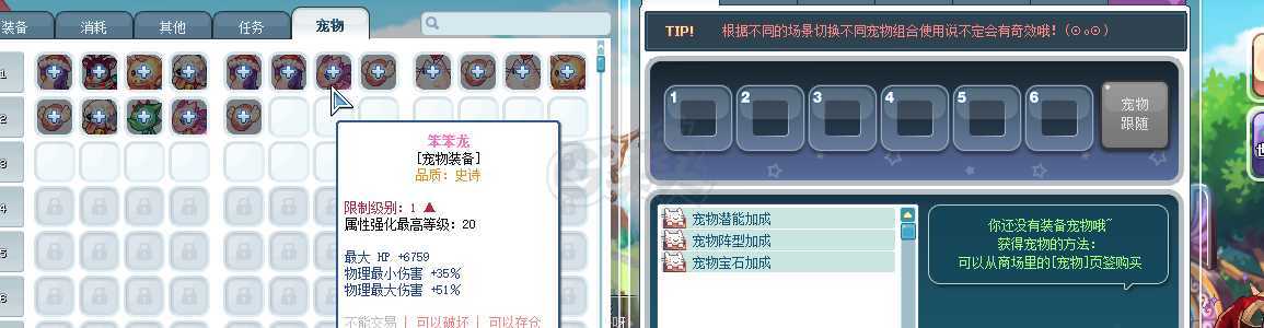 彩虹岛-账号-[剑圣 300级]队长披风，82阵，最低价爱买不买。