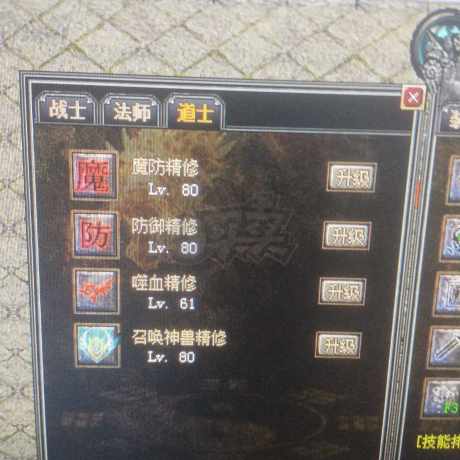 传奇外传-账号-[主体道士 100级]双加7闪耀龙纹9套高精修道道号便宜出