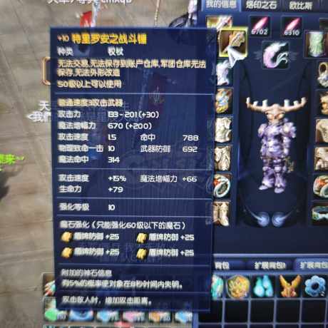 永恒之塔-账号-[守护星 50级]10塔*合精百15天本合精百15精百套精千套首饰13老千盾带个副本打工魔道