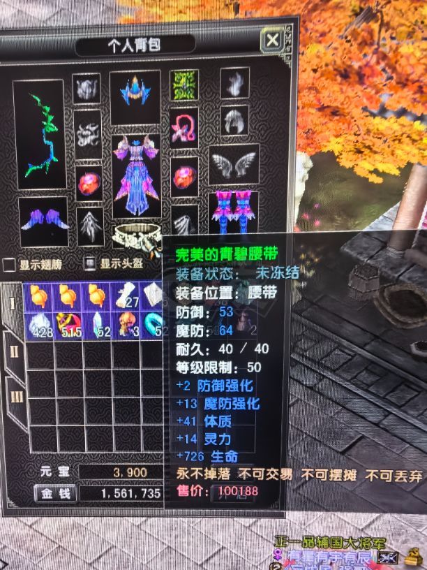 风云怀旧服-账号-[猎手 融合期*5阶]盘地猎手，80级神武器衣服护手鞋子腰带加20套，5孔套，神背包，50级金乌