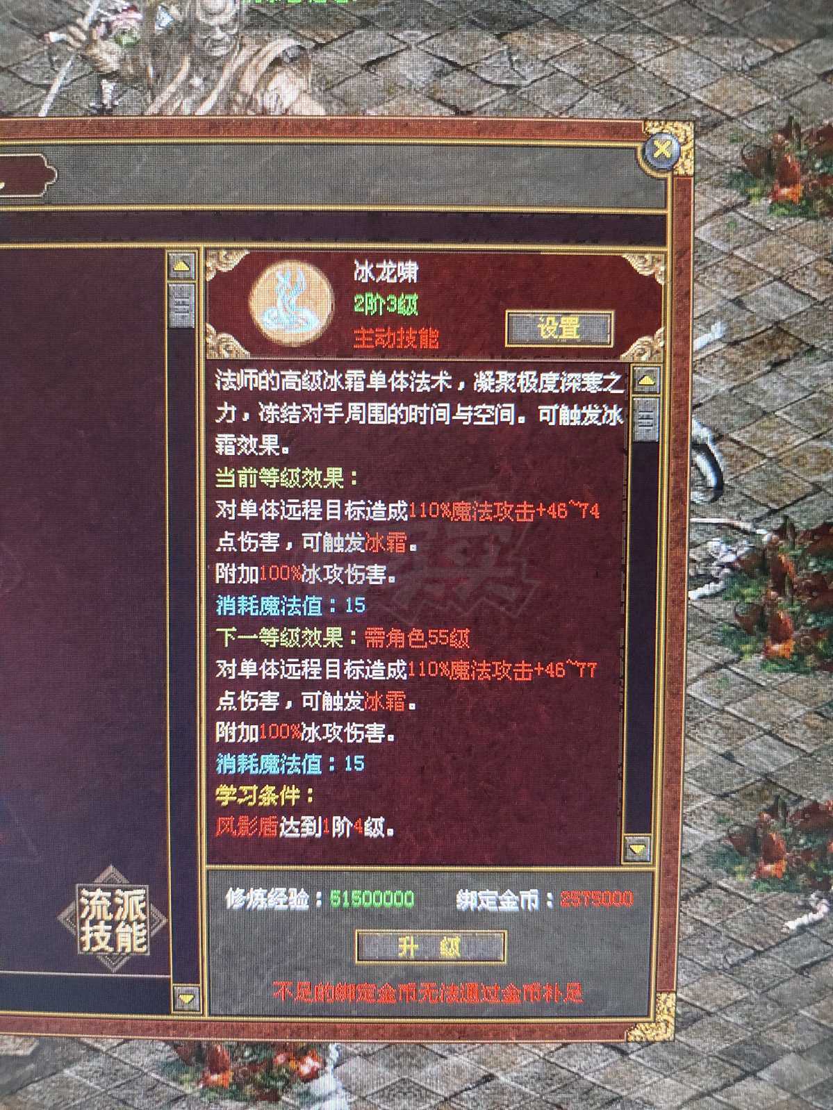 传奇世界-账号-[法师 53级]冰龙啸2阶3级，五级6孔吸血技能豹，修炼度6539