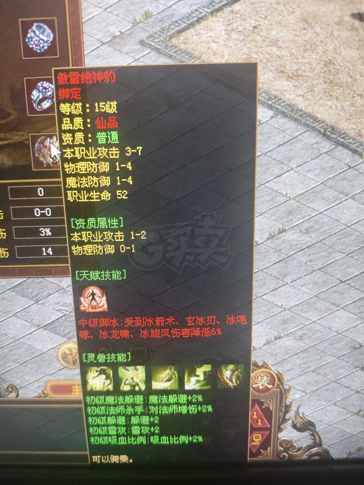 传奇世界-账号-[法师 53级]冰龙啸2阶3级，五级6孔吸血技能豹，修炼度6539