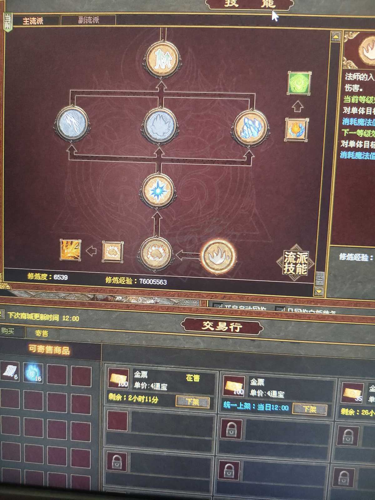 传奇世界-账号-[法师 53级]冰龙啸2阶3级，五级6孔吸血技能豹，修炼度6539