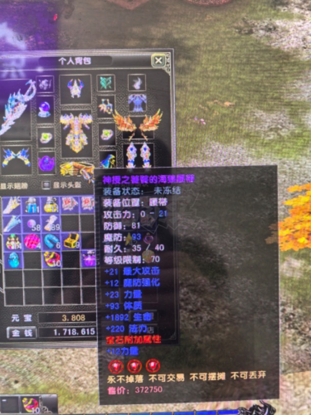 风云怀旧服-账号-[战士 融合期*5阶]沧云89级剑衣服完美加20其他神加16基本坐骑都有4个翅膀九洲注怪基本刷满