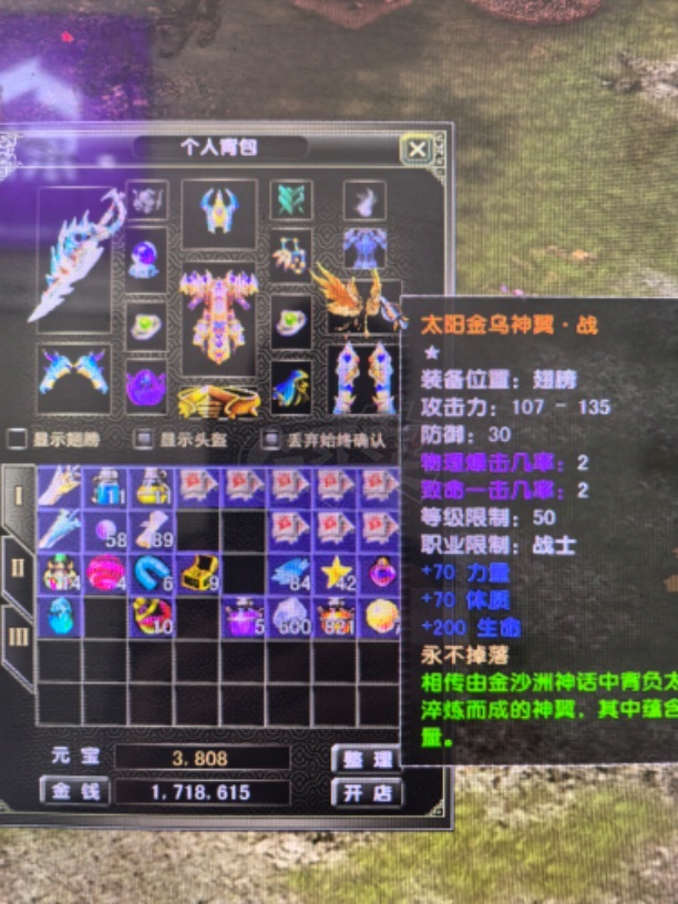 风云怀旧服-账号-[战士 融合期*5阶]沧云89级剑衣服完美加20其他神加16基本坐骑都有4个翅膀九洲注怪基本刷满