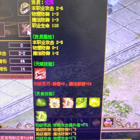 传奇世界-账号-[战士 57级]刚做的完美豹子，8个灵慧石