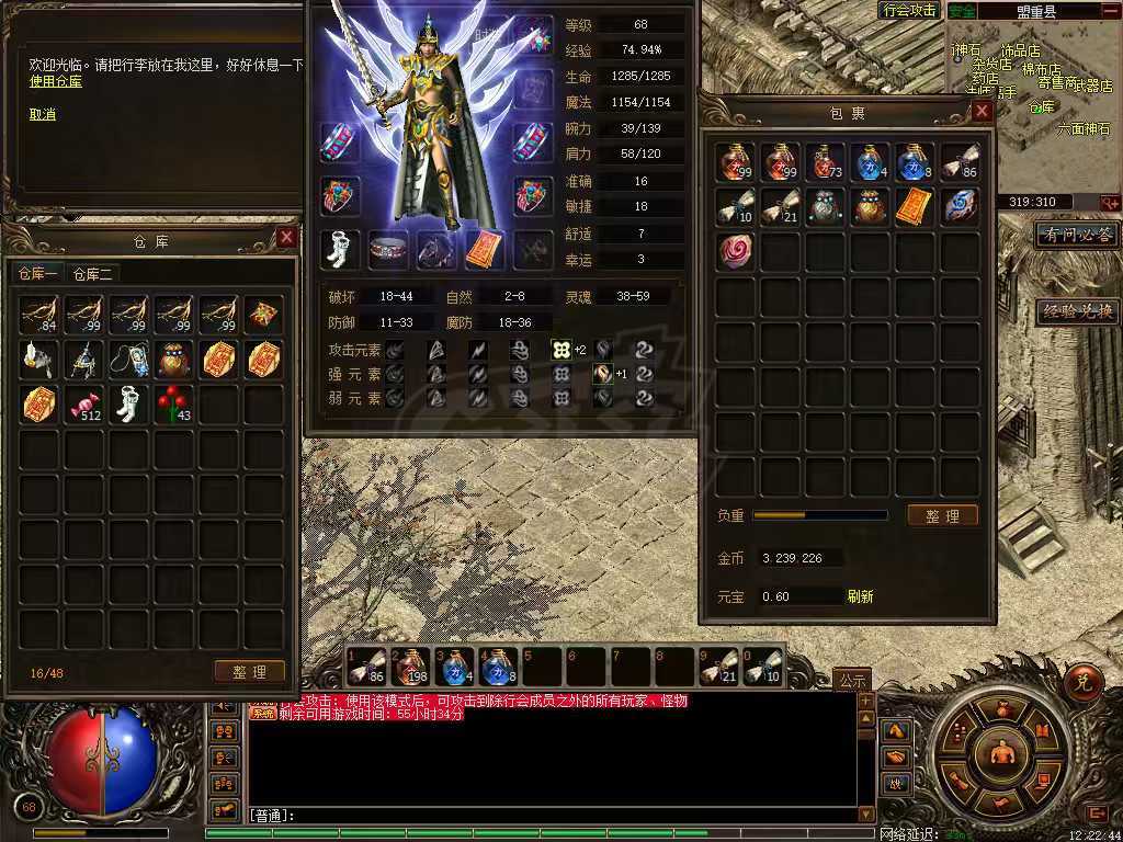 传奇3(时长版)-账号-[道士 68级]老区快69级伏虎女道士
