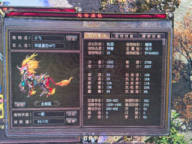 新英雄年代-账号-[猎心 199级]全服最低价