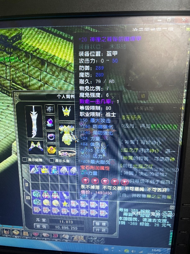 风云怀旧服-账号-[战士 炼气期*10阶]29个完美红 7翼 5页坐骑 留拿下来东西值三万