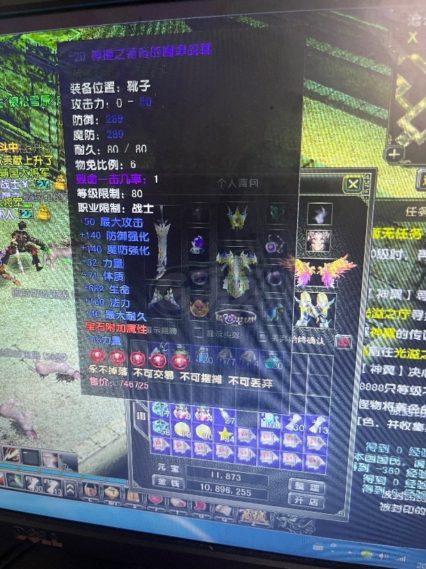 风云怀旧服-账号-[战士 炼气期*10阶]29个完美红 7翼 5页坐骑 留拿下来东西值三万