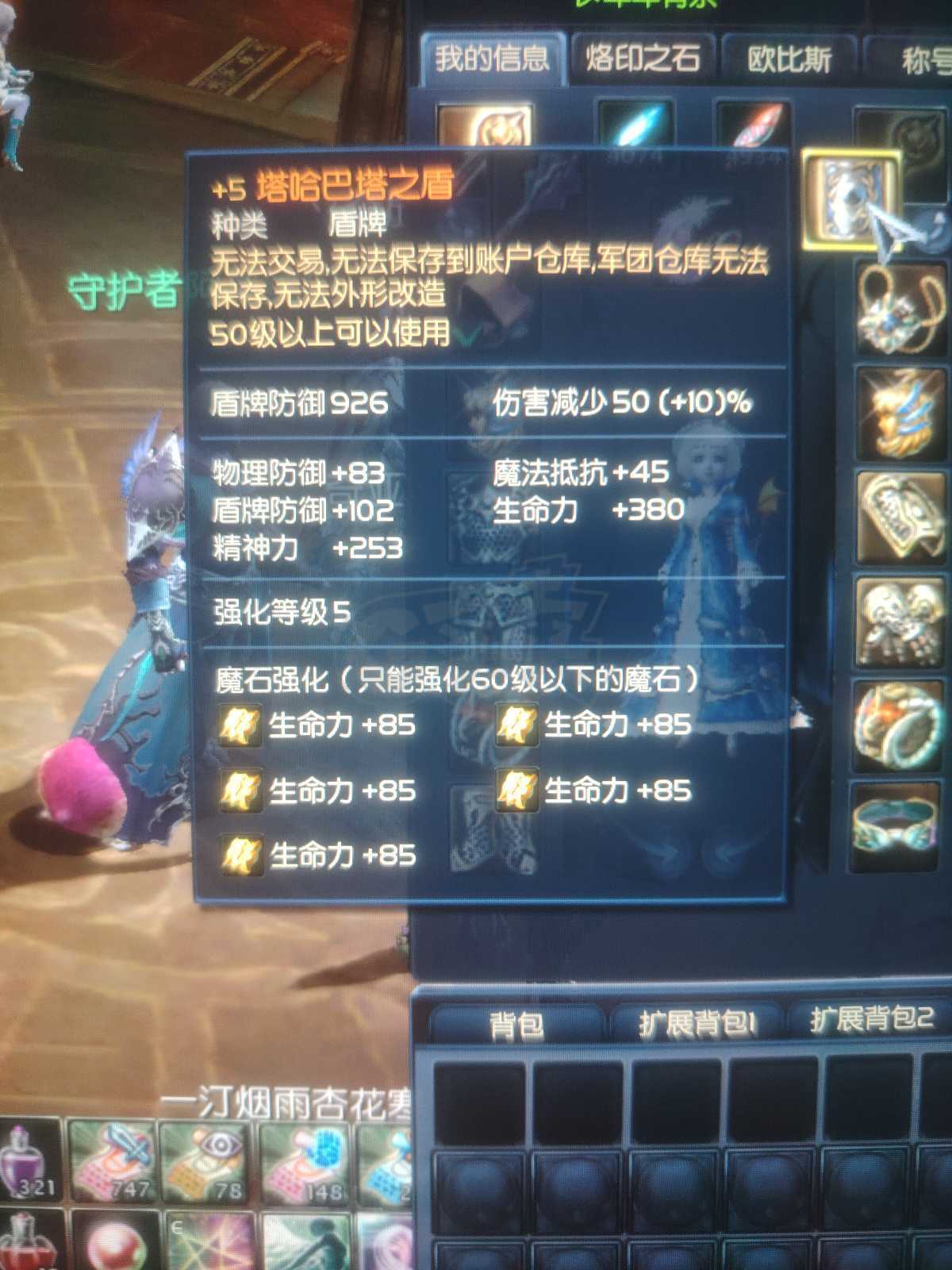 永恒之塔-账号-[护法星 50级]塔杖，塔盾，德巴锤子，黑暗防具首饰