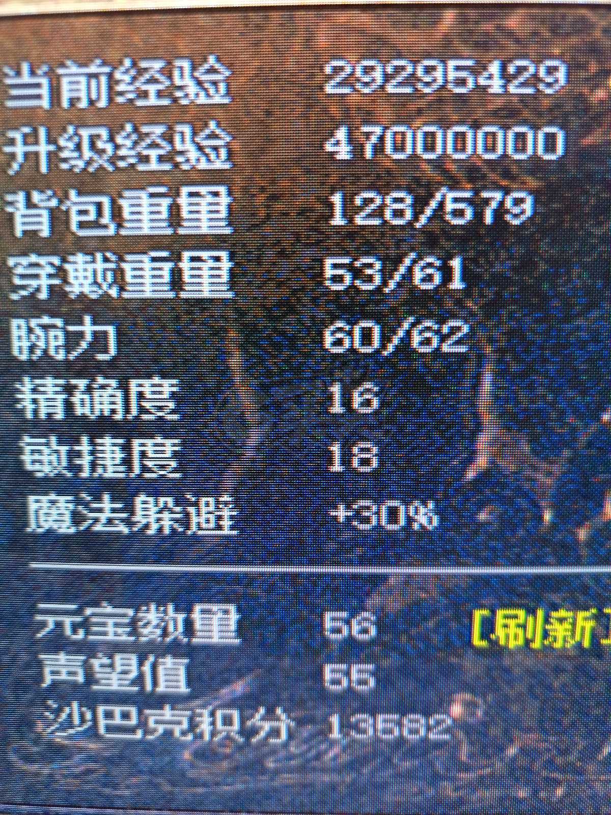 热血传奇怀旧版-账号-[道士 47级]，圣兽皮肤，运3*炼狱，极品5孔