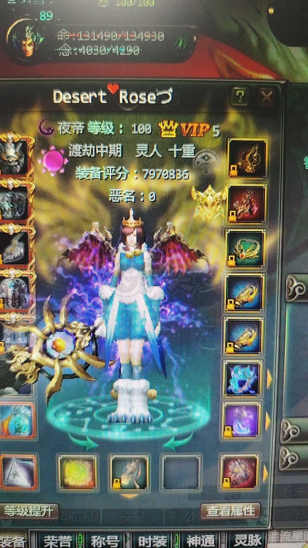 星辰变-账号-[阴月 100级]*交易行自己来看*