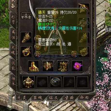 传奇归来-账号-[女 法师 825级]小9套，带龙魂 编号都500左右