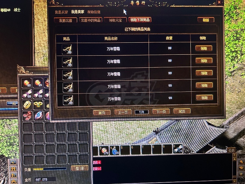 传奇3(时长版)-账号-[战士 56级]黑马男战