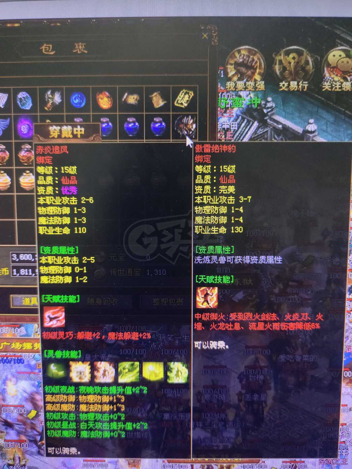 传奇世界-账号-[战士 57级]刚做的完美豹子，8个灵慧石