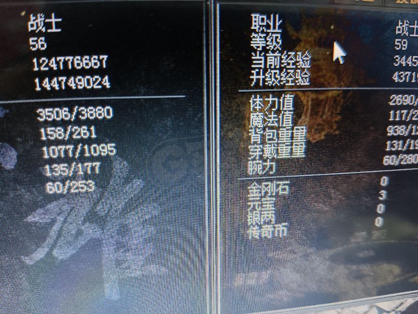 传奇外传-账号-[主体战士 59级]双战士，持续升级中