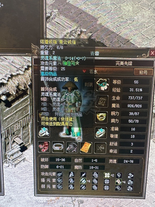 传奇3(时长版)-账号-[道士 55级]诺玛区男55.3级 男道士 5级青云，各种极品装备。所见即所得。有黑马。