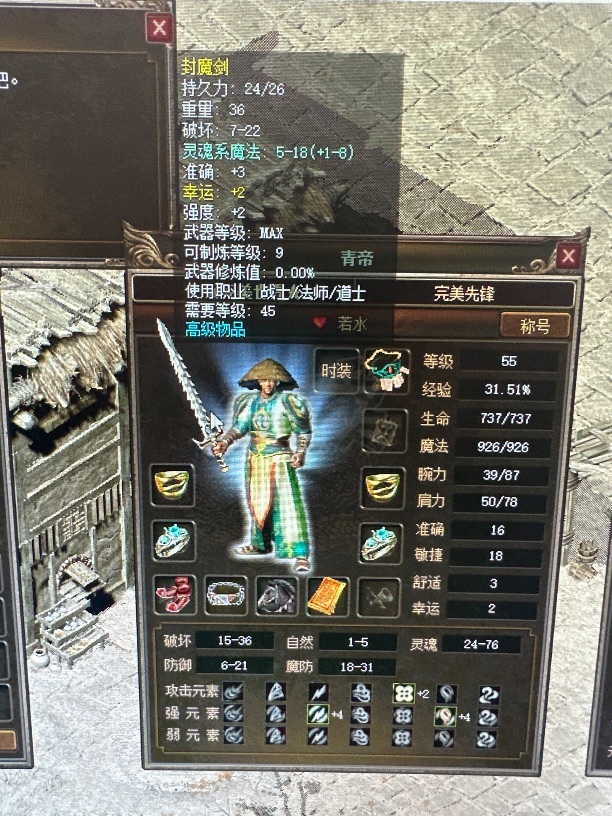 传奇3(时长版)-账号-[道士 55级]诺玛区男55.3级 男道士 5级青云，各种极品装备。所见即所得。有黑马。