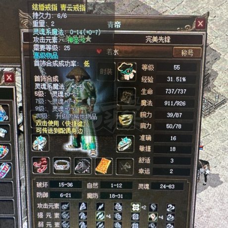 传奇3(时长版)-账号-[道士 55级]诺玛区男55.3级 男道士 5级青云，各种极品装备。所见即所得。有黑马。