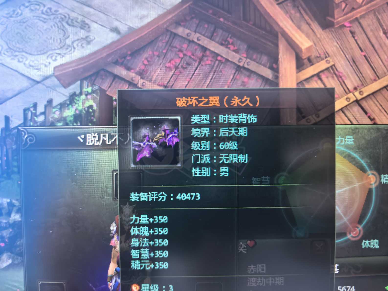 星辰变-账号-[阴月 100级]没时间