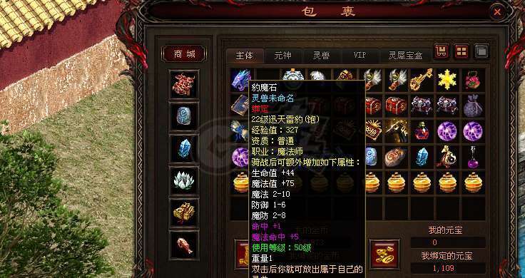 传奇世界-账号-[法师 61级]VIP5，1100绑定元宝有22级豹子
