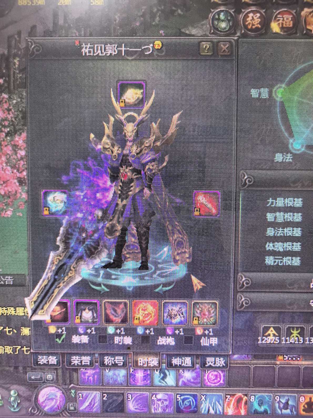 星辰变-账号-[阴月 100级]伤心退游