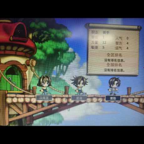 冒险岛怀旧服-账号-[飞侠 1级]极品ID 雾隐