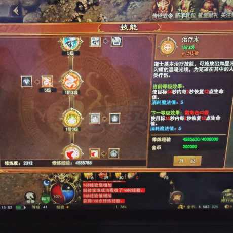 传奇世界无双-账号-[医圣 41级]无月卡！修炼值2312！