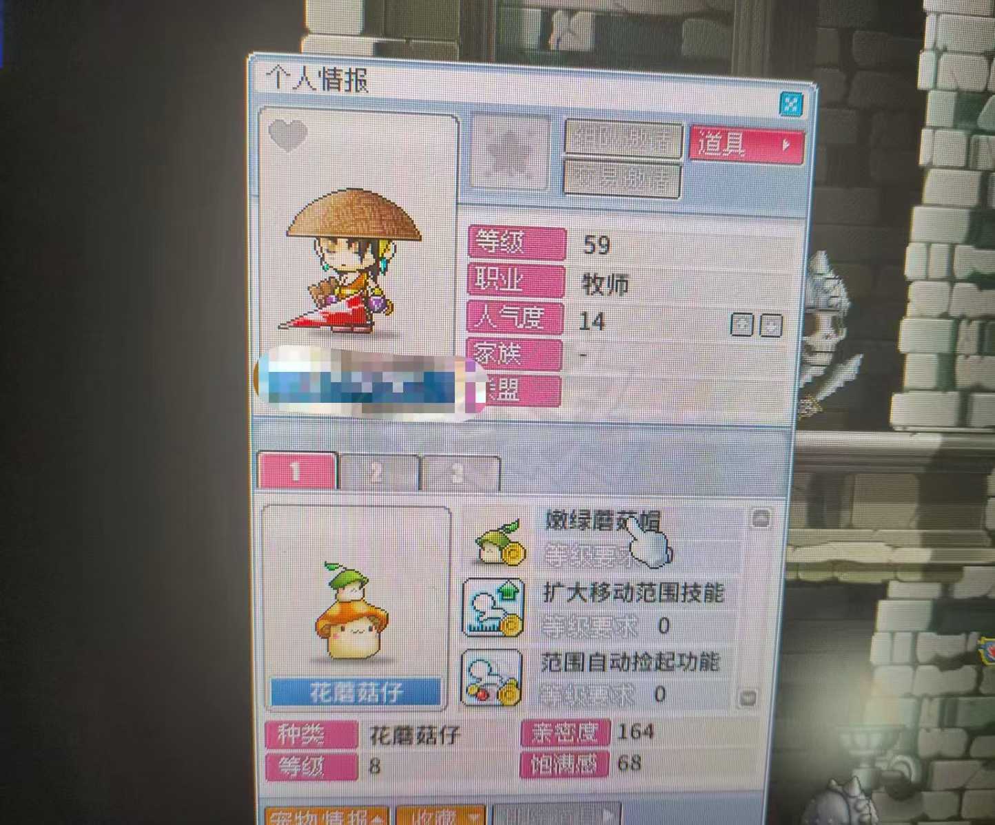 冒险岛怀旧服-账号-[牧师 59级]小白兔59级牧师