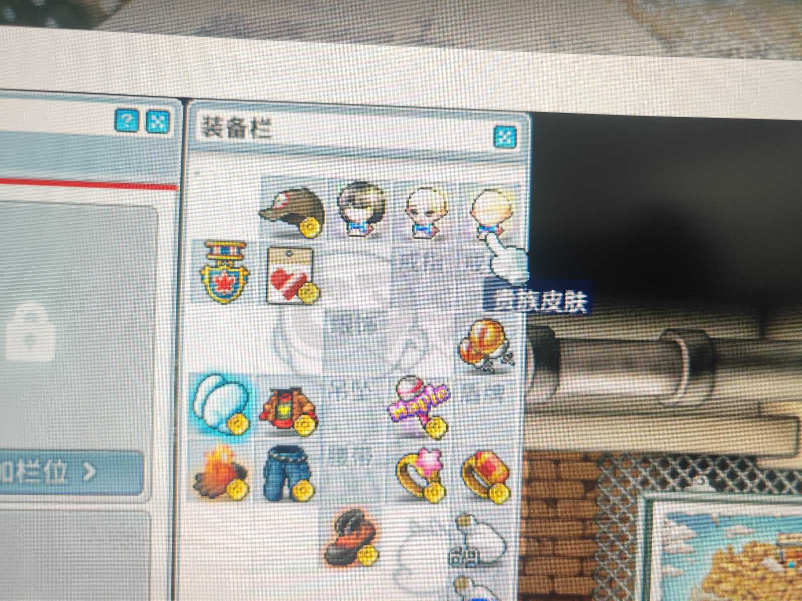 冒险岛怀旧服-账号-[牧师 49级]双稀有发型，水汪汪脸，所有背包已开1页半。一页时装，3宠物均带满技能