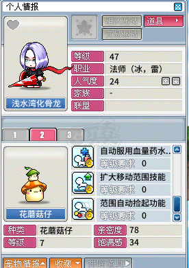冒险岛怀旧服-账号-[冰雷法师 47级]肝不动了，割爱